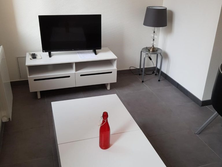 Location appartement saint etienne