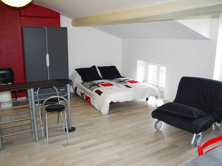 Location appartement saint etienne