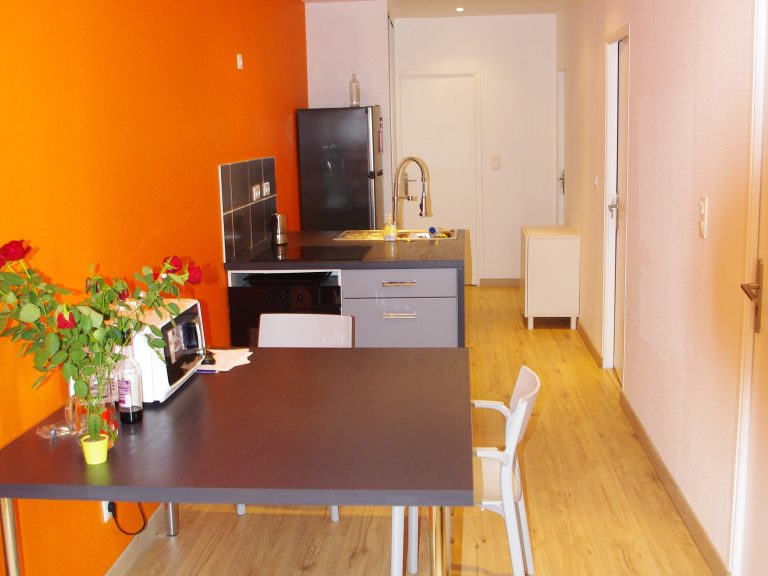 Location appartement saint etienne