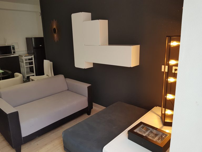 Location appartement saint etienne