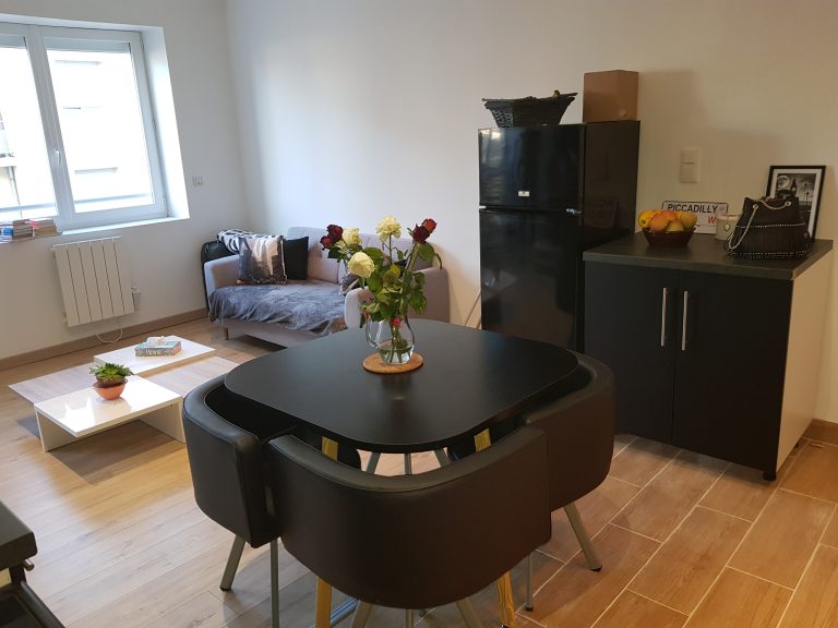Location appartement saint etienne